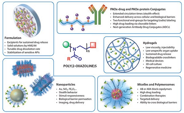 Overview of the main strategies that PAOx offer for drug delivery applications Overview of the main strategies that PAOx offer for drug delivery applications