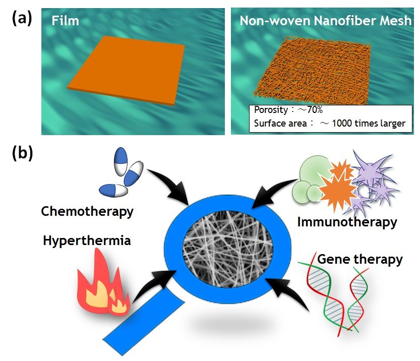 A) Schematic images of film and nonwoven nanofiber meshes. B) Examples of the different types of molecules that can be easily incorporated into nanofibers. Schematic images of film and nonwoven nanofiber meshes