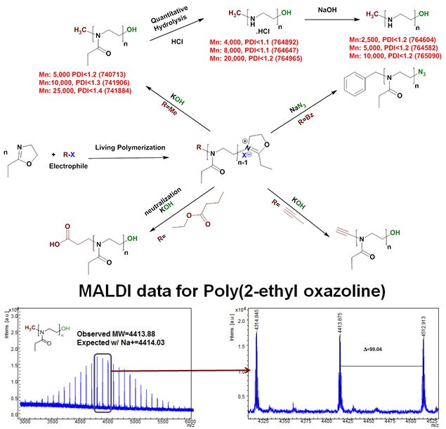 Polyoxazolines and Linear polyethylenimines Polyoxazolines and Linear polyethylenimines