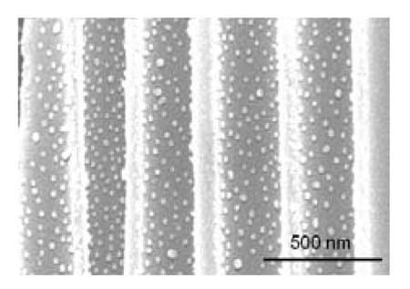 Cross-sectional SEM images of a porous alumina membrane coated with a PAA/PAH/Au nanoparticle film Cross-sectional SEM images of a porous alumina membrane coated with a PAA/PAH/Au nanoparticle film