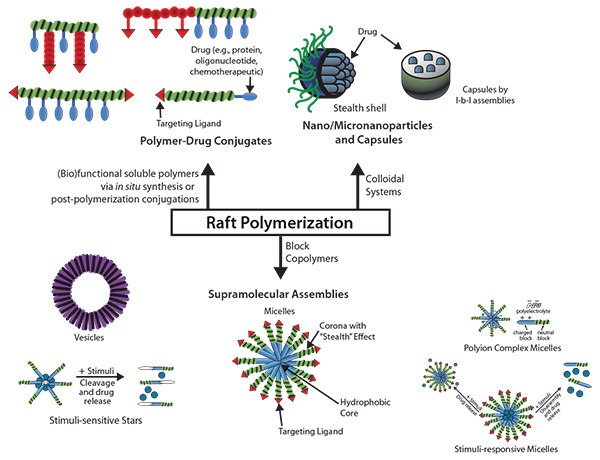 Examples of Controlled Drug Release Systems Generated by RAFT-Polymers Examples of Controlled Drug Release Systems Generated by RAFT-Polymers