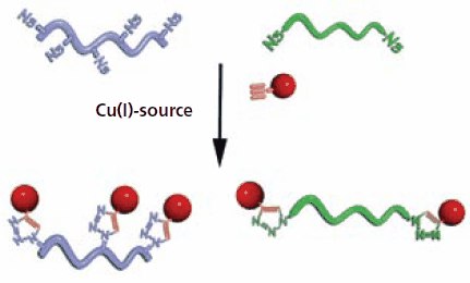 Schematic illustration of the functionalization Schematic illustration of the functionalization