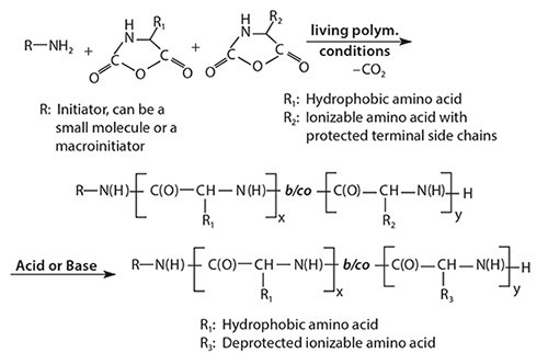 Schematic of NCA polymerization leading to the synthesis Schematic of NCA polymerization leading to the synthesis