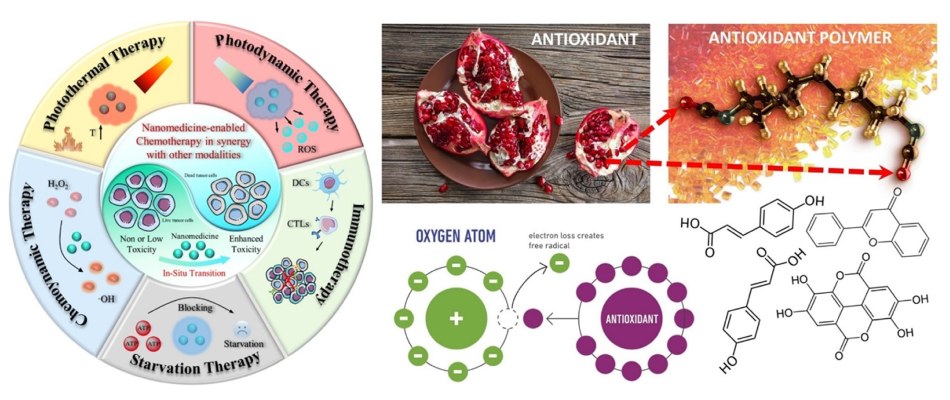 Schematic of various nanomedicine-enabled cancer therapies Schematic of various nanomedicine-enabled cancer therapies that can work in synergy with chemotherapy including photothermal, photodynamic, starvation, chemoynamic, and immunotherapy.
