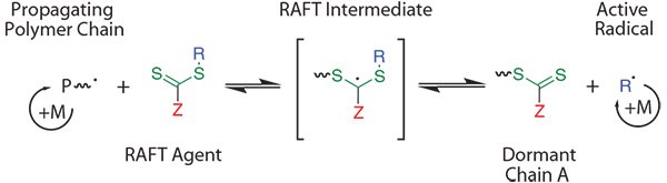 Simplified mechanism of a RAFT polymerization. Simplified mechanism of a RAFT polymerization.