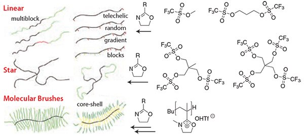 The structural and chemical variability of POx The structural and chemical variability of POx