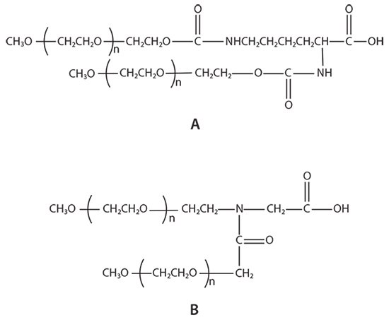 Example structures of branched PEGs: A) U-shape PEG and B) JenKem Technology’s patented Y-shape PEG. Example structures of branched PEGs: A) U-shape PEG and B) JenKem Technology’s patented Y-shape PEG.