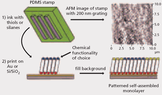 Image27 Schematic overview of microcontact printing