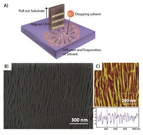 Alignment and film characteristic Alignment and film characteristics of SWCNTs prepared via Floating Evaporative Selfassembly