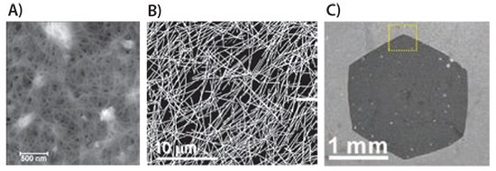 AFM image of a CNT network AFM image of a CNT network