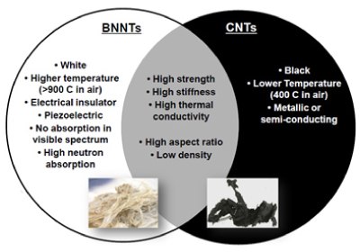Comparison of the main properties of BNNTs and CNTs Comparison of the main properties of BNNTs and CNTs