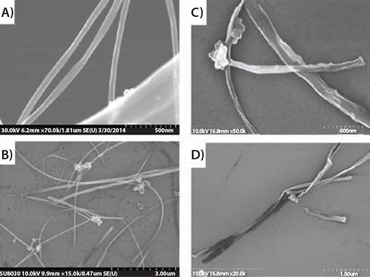 chloroform-or-chlorobenzene SEM images of (A) and (B) MWCNTs and (C) and (D) fully unzipped MWCNTs