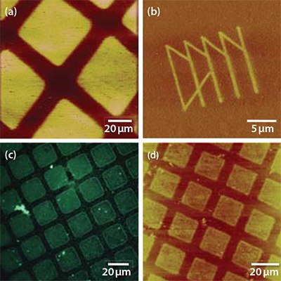 ffm-native-oxide-of-titanium FFM image of an ODPA