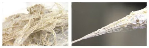 Fibril materials from which BNNT yarns (b) can be drawn Fibril materials from which BNNT yarns (b) can be drawn