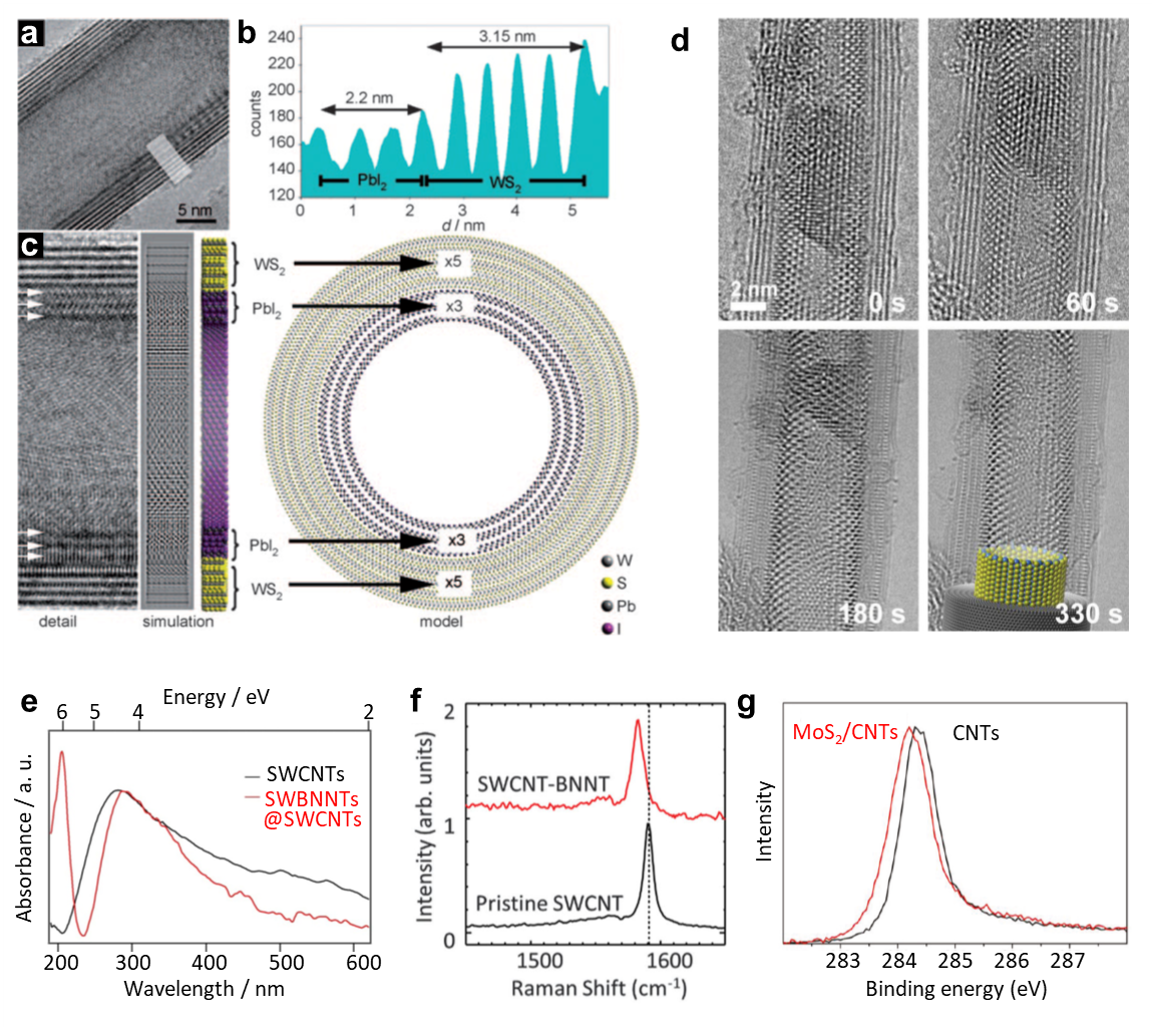 HRTEM micrograph showing a core-shell PbI2@WS2 composite nanotube HRTEM micrograph showing a core-shell PbI2@WS2 composite nanotube