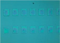 Oxygen plasma treated PDMS surface: 1st imprint Oxygen plasma treated PDMS surface: 1st imprint