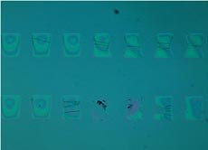 Oxygen plasma treated PDMS surface:  4th imprint Oxygen plasma treated PDMS surface:  4th imprint