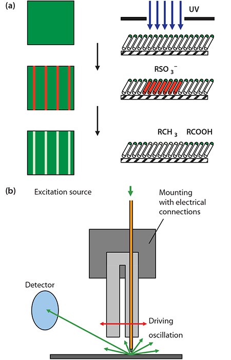 schematic-diagram-showing-the-photopatterning Schematic diagram showing the photopatterning