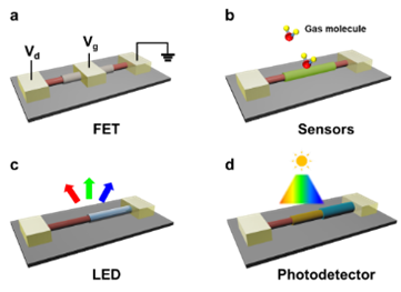 Schematic diagrams of a device using the 1D vdWHs Schematic diagrams of a device using the 1D vdWHs