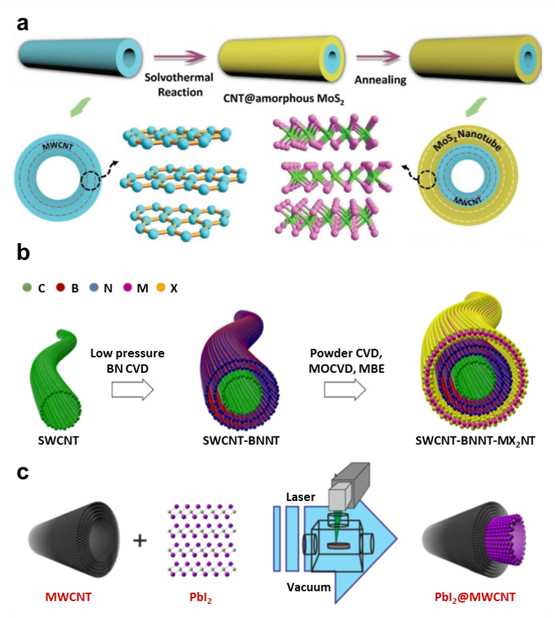 Schematic representation of the solvothermal synthesis process of coating crystalline MoS2 layers onto CNTs Schematic representation of the solvothermal synthesis process of coating crystalline MoS2 layers onto CNTs
