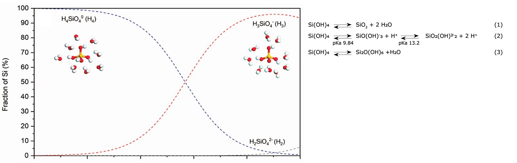 Acid-basic equilibria of silica species in aqueous solution Acid-basic equilibria of silica species in aqueous solution