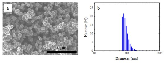 (a) SEM image and (b) particle-size distribution of SWCNHs. (a) SEM image and (b) particle-size distribution of SWCNHs.