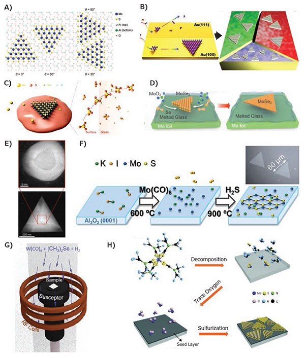 Substrate and nucleation engineering for growth control. Substrate and nucleation engineering for growth control.