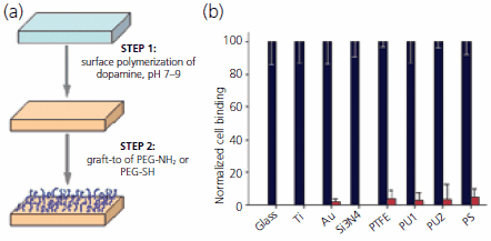 Facile grafting of antifouling polymers to material surfaces using a two-step approach. (a) Schematic of the surface grafting method, consisting of surface mediated polymerization of dopamine followed by graft-to of an amine or thiol functionalized PEG. Using this approach, antifouling grafted PEG coatings can be applied to many different surfaces, including inorganic and organic materials. (b) Normalized cell attachment before (black bars) and after (red bars) modification of glass, titanium, gold, silicon nitride, Teflon (PTFE), polyurethanes (PU1, PU2) and polystyrene (PS) with polydopamine and PEG-NH2. Facile grafting of antifouling polymers