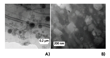 figu2 TEM of Aluminum