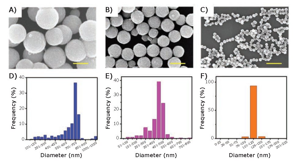 SEM images and size distributions of IONPs SEM images and size distributions