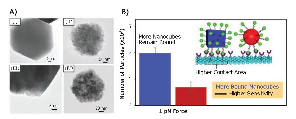 Magnetic sensing ability Magnetic sensing ability