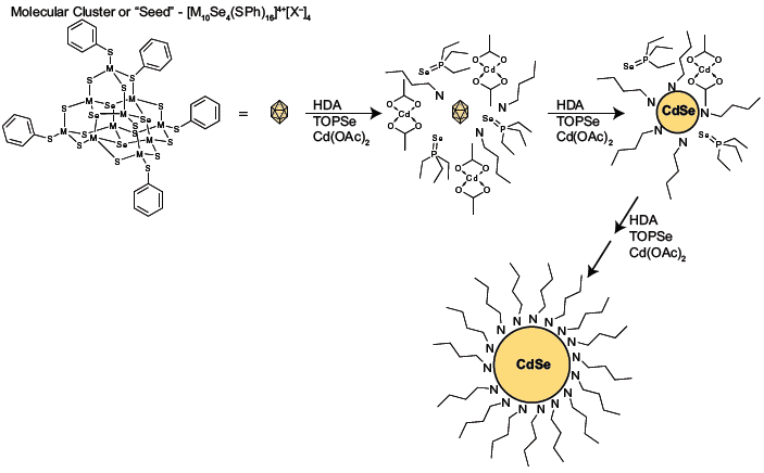 Molecular seeding synthesis of a cadmium selenide quantum dot using [M10Se4(SPh)16][x]4 x = Li+ or (CH3)3NH+ as the molecular seed and dropwise addition of cadmium acetate (Cd(OAc)2) and tri-n-octylphosphine selenide (TOPSe) as the cadmium and selenium element-source precursors, with hexadecylamine (HDA) used as the capping agent.