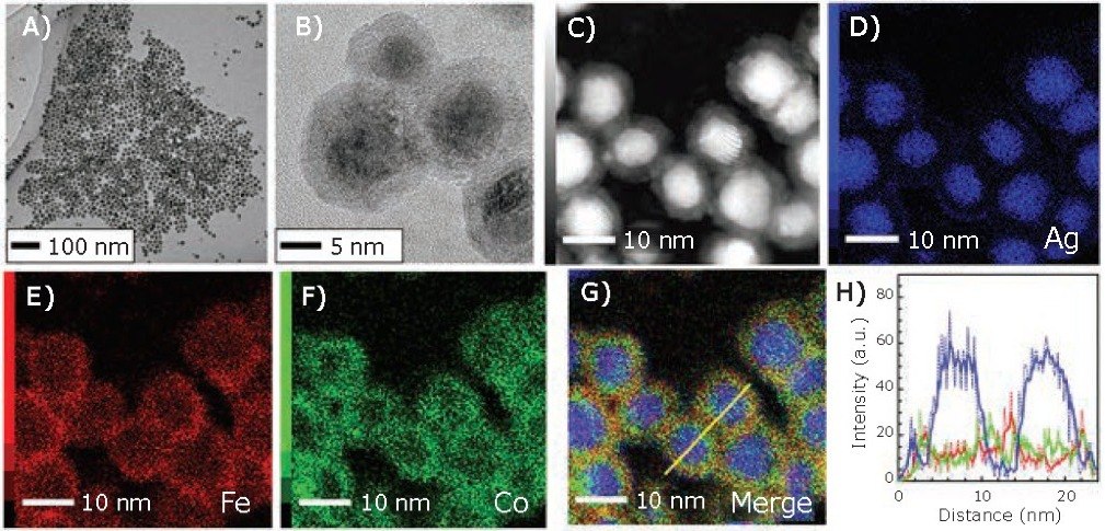 TEM and STEM images of as-synthesized Ag/FeCo/Ag MPNBs TEM and STEM images of as-synthesized Ag/FeCo/Ag MPNBs