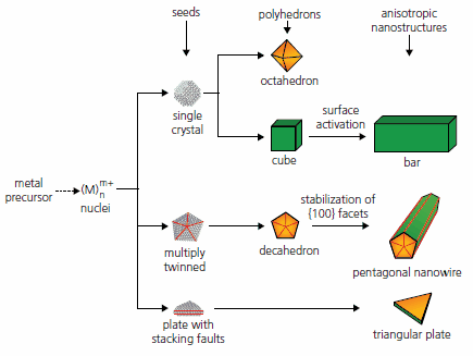 Schematic illustration of the reaction pathways that lead to face-centered cubic metal nanostructures with different morphologies. Schematic illustration of the reaction pathways that lead to face-centered cubic metal nanostructures with different morphologies.
