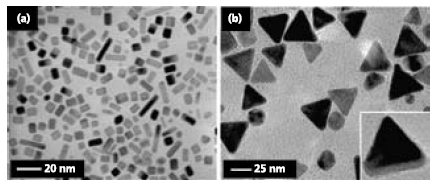 Palladium nanostructures synthesized by the modified polyol process. Palladium nanostructures synthesized by the modified polyol process.
