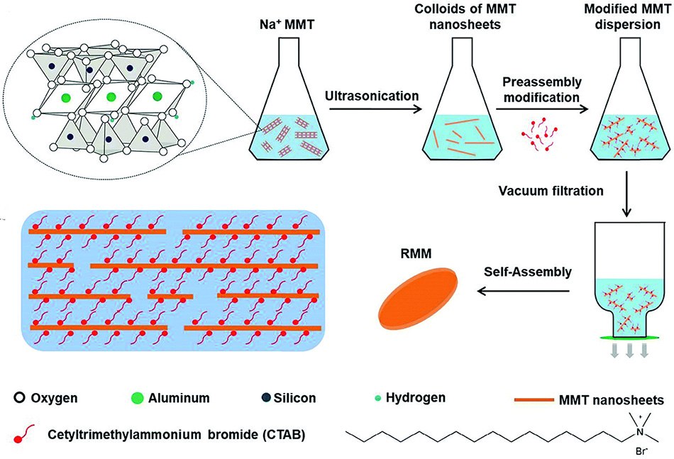 Fabrication of reconstructed MMT membrane Fabrication of reconstructed MMT membrane (RMM)