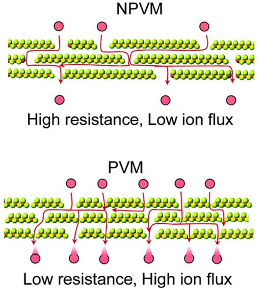 Schematic highlighting lowest resistance pathways of ion transport in a PVM Schematic illustration highlighting the pathways of the lowest resistance of ion transport in a PVM