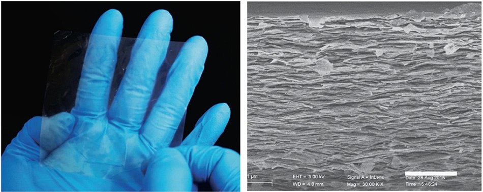 Photograph and cross-sectional SEM image (scale bar, 2 μm) of a 60 wt.% polymeric mica film. Photograph and cross-sectional SEM image (scale bar, 2 μm) of a 60 wt.% polymeric mica film