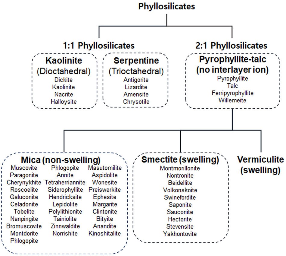 Relationships of clay mineral groups Relationship between kaolinite, serpentine, pyrophyllite-talc, mica, smectite, and vermiculite group