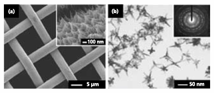 Platinum nanostructures synthesized by the modified polyol process. Platinum nanostructures synthesized by the modified polyol process.