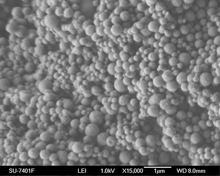 Scanning Electron Microscopy image of a typical mesoporous silica material such as those offered by Aldrich Materials Science Scanning Electron Microscopy image of a typical mesoporous silica material such as those offered by Aldrich Materials Science