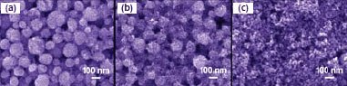 SEM images of ZnO films with synthesis temperature SEM images of ZnO films