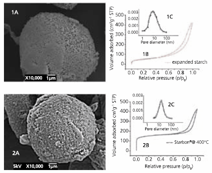 Textural properties Textural properties of 1) mesoporous expanded starch a) SEM; b) isotherm of adsorption; c) BJH desorption isotherm and 2) Starbon® prepared at 400°C a) SEM; b) isotherm of adsorption; c) BJH desorption isotherm.