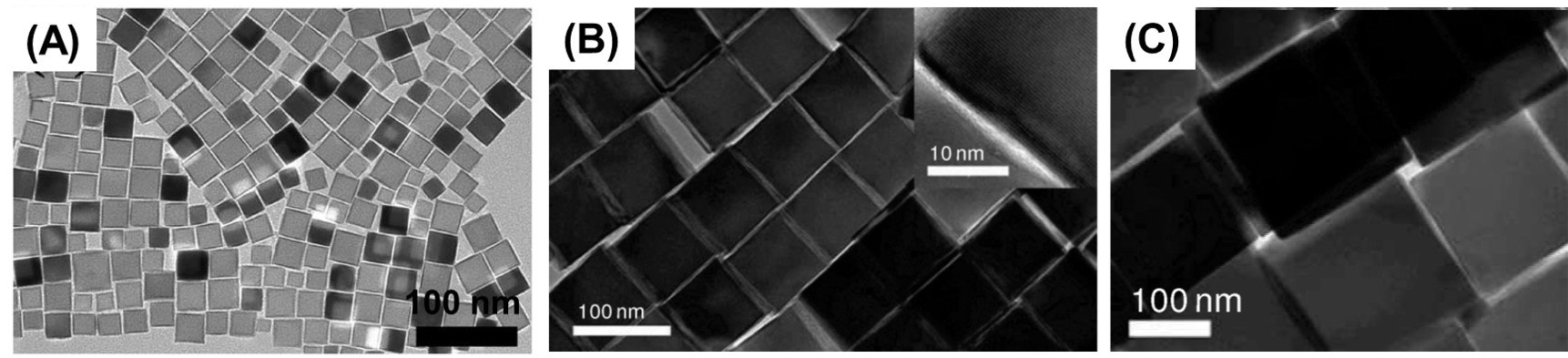 TEM images of IONCs synthesized TEM images of IONCs synthesized