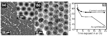 TEM images of synthesized 8 nm/2.5 nm TEM images of synthesized 8 nm/2.5 nm