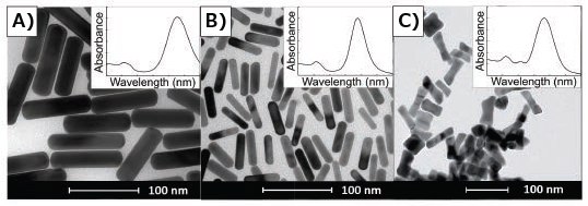 MATERIAL MATTERS, Volume 12, Number 1 TEMs of gold nanorods