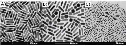 TEM’s of gold nanorods illustrating selection bias TEM’s of gold nanorods illustrating selection bias