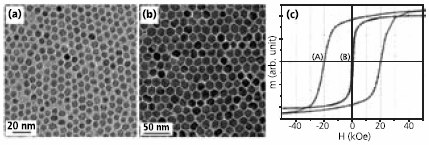Transmission electron microscopy (TEM) images of (a) 6 nm Fe3O4 particles and (b) 16 nm CoFe2O4 particles; (c) Hysteresis loops of 16 nm CoFe2O4 particle assembly measured at A) 10 K and B) 300 K. Reproduced from Ref. 4 with permission from the American Chemical Society. Transmission electron microscopy (TEM) images