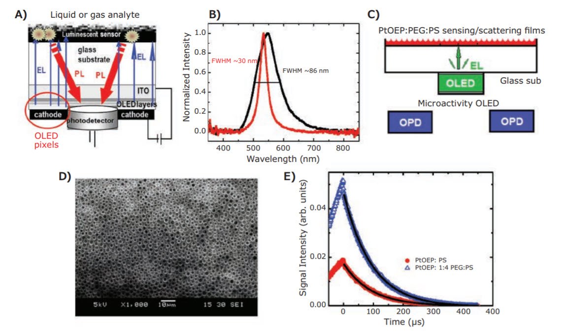 bio-chemical-sensors Toward all-organic optical (bio)chemical sensors.