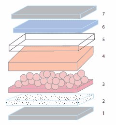 Exploded view of a dye-sensitized solar cell showing key components: Exploded view of a dye-sensitized solar cell showing key components: